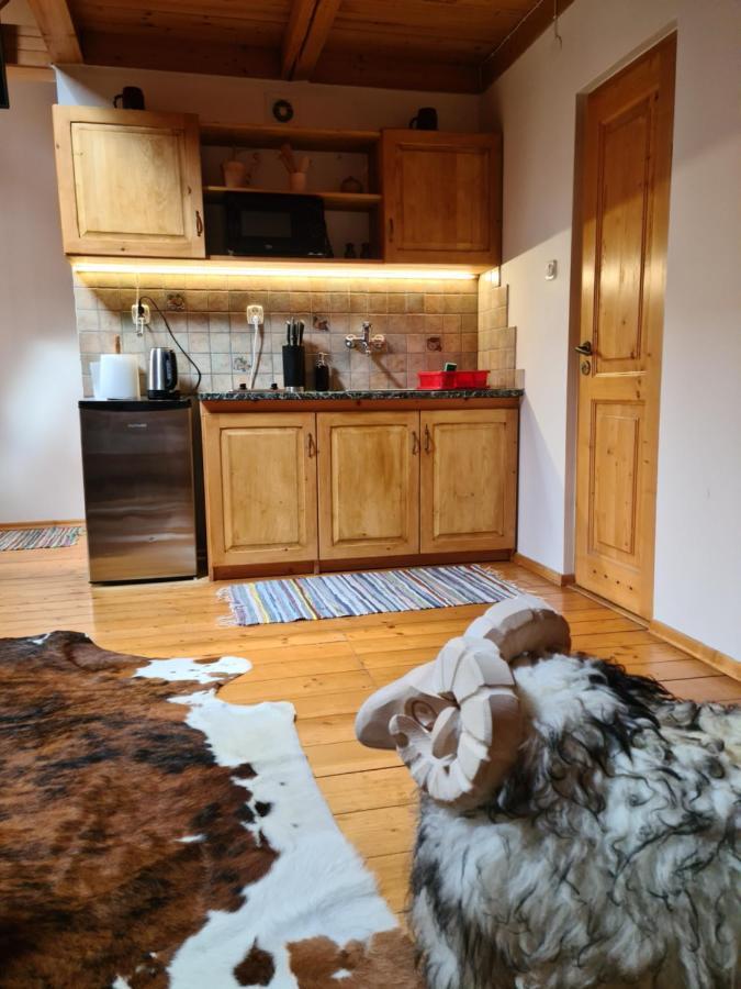 Apartamenty Pod Cisowka Zakopane Eksteriør bilde